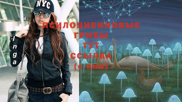 спиды Армянск