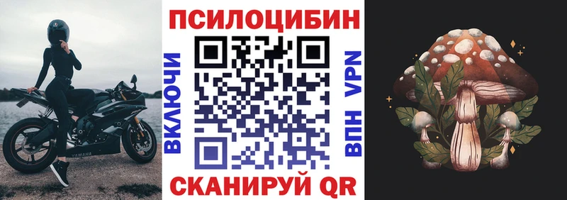 сайты даркнета Telegram  Вольск  Галлюциногенные грибы мицелий 